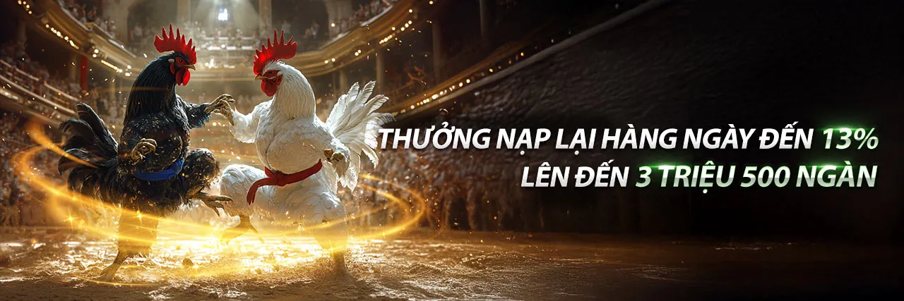 Banner khuyến mãi hấp dẫn cho cá cược thể thao tại FB8 Bet