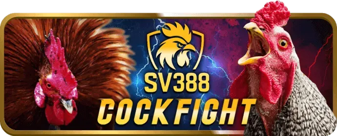 Cá cược bóng đá fb8 bet